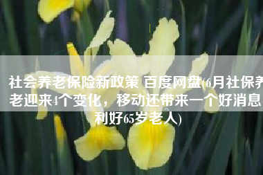 社会养老保险新政策 百度网盘(6月社保养老迎来4个变化，移动还带来一个好消息，利好65岁老人)
