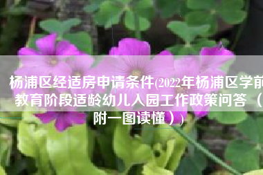 杨浦区经适房申请条件(2022年杨浦区学前教育阶段适龄幼儿入园工作政策问答 （附一图读懂）)