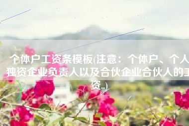 个体户工资条模板(注意：个体户、个人独资企业负责人以及合伙企业合伙人的工资..)