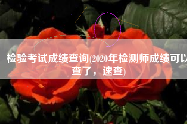 检验考试成绩查询(2020年检测师成绩可以查了，速查)
