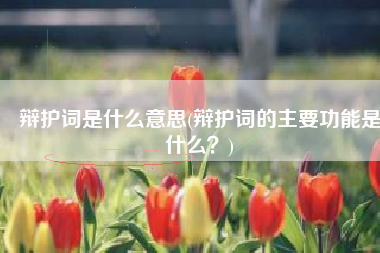 辩护词是什么意思(辩护词的主要功能是什么？)