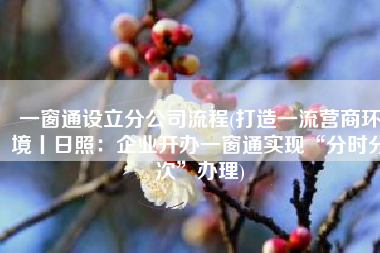 一窗通设立分公司流程(打造一流营商环境丨日照：企业开办一窗通实现“分时分次”办理)