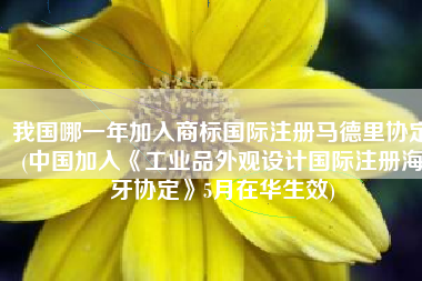 我国哪一年加入商标国际注册马德里协定(中国加入《工业品外观设计国际注册海牙协定》5月在华生效)