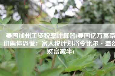 美国加州工资税率计算器(美国亿万富豪们集体恐慌：富人税计划将令比尔·盖茨财富减半)