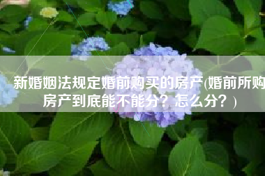 新婚姻法规定婚前购买的房产(婚前所购房产到底能不能分？怎么分？)
