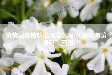 疫情同意接收证明怎么写(买假证明骗“绿码”回国)