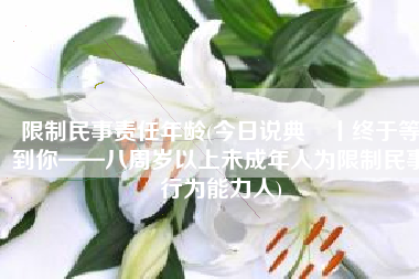 限制民事责任年龄(今日说典㉕丨终于等到你——八周岁以上未成年人为限制民事行为能力人)