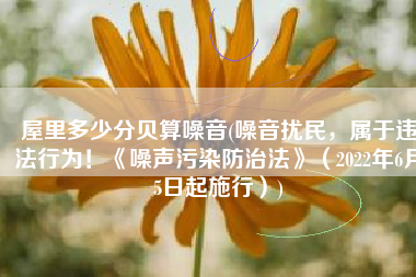 屋里多少分贝算噪音(噪音扰民，属于违法行为！《噪声污染防治法》（2022年6月5日起施行）)