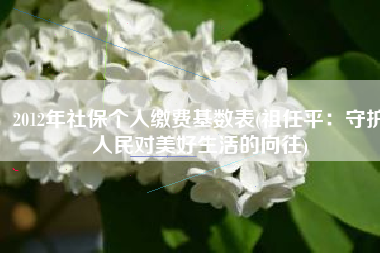 2012年社保个人缴费基数表(祖任平：守护人民对美好生活的向往)