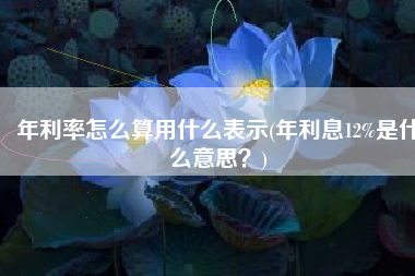 年利率怎么算用什么表示(年利息12%是什么意思？)
