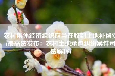 农村集体经济组织应当在收到土地补偿费(最高法发布：农村土地承包纠纷案件司法解释)