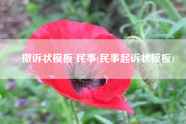 撤诉状模板 民事(民事起诉状模板)