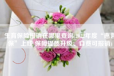 生育保险报销在哪里查询(2022年度“惠蓉保”上线 保障提质升级、自费可报销)