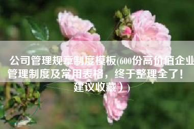 公司管理规章制度模板(600份高价值企业管理制度及常用表格，终于整理全了！（建议收藏）)