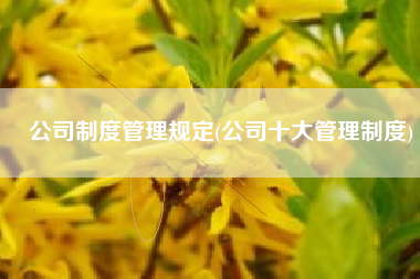 公司制度管理规定(公司十大管理制度)