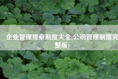 企业管理规章制度大全(公司管理制度完整版)