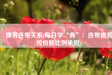 债务连带关系(每日学“典”：连带债务按份额比例承担)