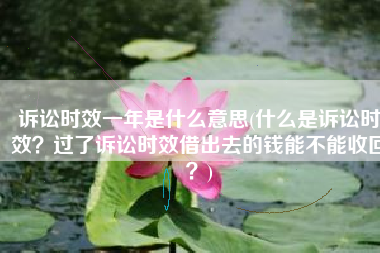 诉讼时效一年是什么意思(什么是诉讼时效？过了诉讼时效借出去的钱能不能收回？)