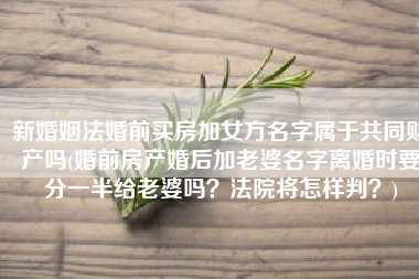 新婚姻法婚前买房加女方名字属于共同财产吗(婚前房产婚后加老婆名字离婚时要分一半给老婆吗？法院将怎样判？)