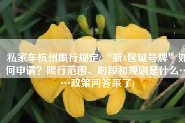 私家车杭州限行规定(“浙A区域号牌”如何申请？限行范围、时段和规则是什么……政策问答来了)