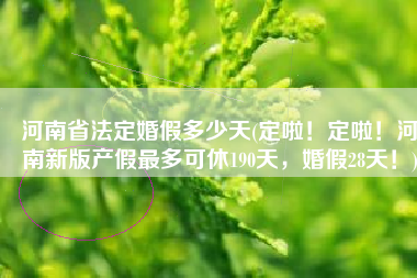 河南省法定婚假多少天(定啦！定啦！河南新版产假最多可休190天，婚假28天！)