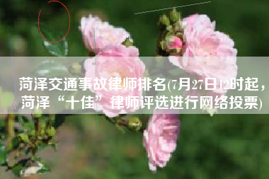菏泽交通事故律师排名(7月27日12时起，菏泽“十佳”律师评选进行网络投票)
