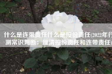 什么是连带责任什么是按份责任(2022年行测常识判断：厘清按份责任和连带责任)