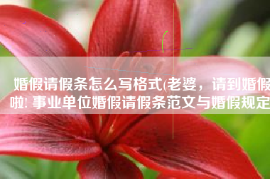婚假请假条怎么写格式(老婆，请到婚假啦! 事业单位婚假请假条范文与婚假规定)