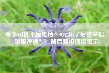 肇事司机不接电话(200元私了后被举报“肇事逃逸”！背后真相值得警示)