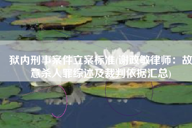 狱内刑事案件立案标准(谢政敏律师：故意杀人罪综述及裁判依据汇总)