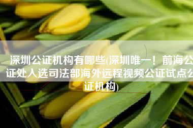 深圳公证机构有哪些(深圳唯一！前海公证处入选司法部海外远程视频公证试点公证机构)