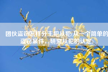 团伙盗窃怎样分主犯从犯(从一个简单的盗窃案件，研究从犯的认定)