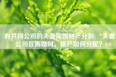 有共同公司的夫妻离婚财产分割(“夫妻”公司在离婚时，资产如何分配？)