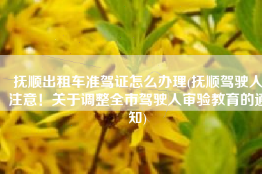 抚顺出租车准驾证怎么办理(抚顺驾驶人注意！关于调整全市驾驶人审验教育的通知)