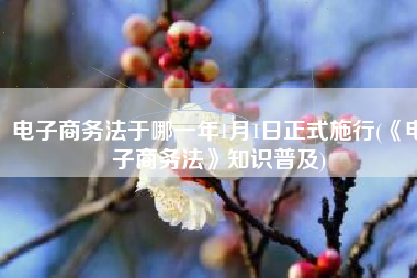 电子商务法于哪一年1月1日正式施行(《电子商务法》知识普及)