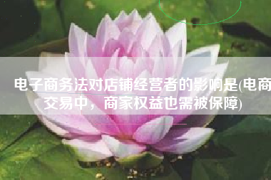 电子商务法对店铺经营者的影响是(电商交易中，商家权益也需被保障)