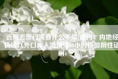 近期去澳门需要什么手续(澳门：内地经机场以外口岸入境须持48小时核酸阴性证明)