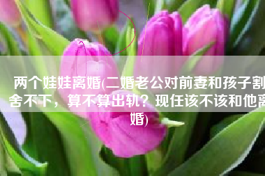 两个娃娃离婚(二婚老公对前妻和孩子割舍不下，算不算出轨？现任该不该和他离婚)