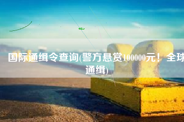 国际通缉令查询(警方悬赏100000元！全球通缉)