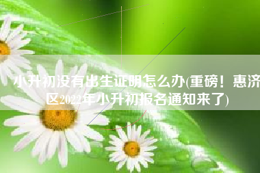 小升初没有出生证明怎么办(重磅！惠济区2022年小升初报名通知来了)