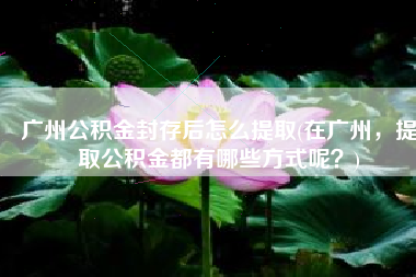 广州公积金封存后怎么提取(在广州，提取公积金都有哪些方式呢？)