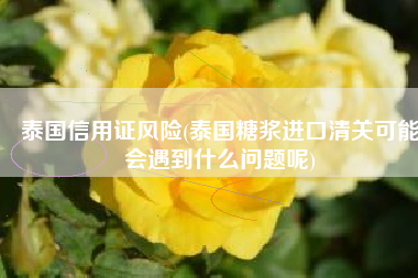泰国信用证风险(泰国糖浆进口清关可能会遇到什么问题呢)