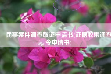 民事案件调查取证申请书(证据收集调查令申请书)