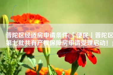 普陀区经适房申请条件(「便民」普陀区第七批共有产权保障房申请受理启动！)