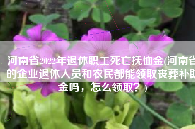 河南省2022年退休职工死亡抚恤金(河南省的企业退休人员和农民都能领取丧葬补助金吗，怎么领取？)