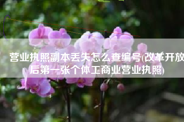营业执照副本丢失怎么查编号(改革开放后第一张个体工商业营业执照)
