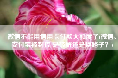 微信不能用信用卡付款大额度了(微信、支付宝被封控 是破解还是换路子？)