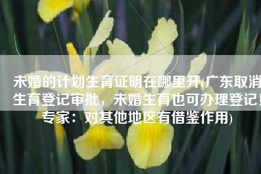 未婚的计划生育证明在哪里开(广东取消生育登记审批，未婚生育也可办理登记！专家：对其他地区有借鉴作用)