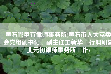 黄石哪里有律师事务所(黄石市人大常委会党组副书记、副主任王新华一行调研湖北元初律师事务所工作)