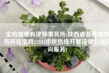 宝鸡哪里有律师事务所(陕西睿普律师事务所在宝鸡12345市民热线开展法律公益咨询服务)